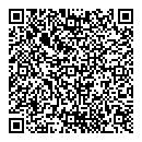 QR код "Domino"