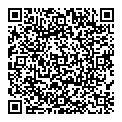 QR код "Vinci"