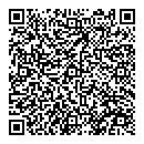 QR код "День и ночь"