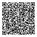 QR код "Спутник"