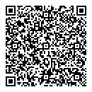 QR код "Глобус"