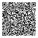 QR код "Гжель"