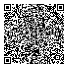 QR код "ВИП-Аудит"