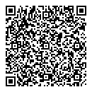 QR код "Спутник"