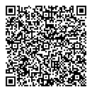 QR код "Спутник"