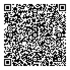 QR код "DNS"