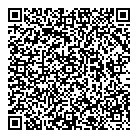 QR код "DNS"
