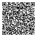 QR код "Алина"