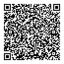 QR код "Жар-птица"