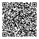QR код "Нефертити"