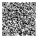QR код "Тесла"