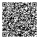 QR код "Вилис"