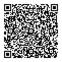 QR код "Light"