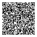 QR код "Звездный"
