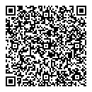 QR код "Звездный"
