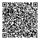 QR код "Мост"