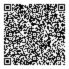 QR код "Blesk InCare"