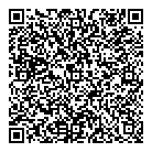 QR код "Спутник"