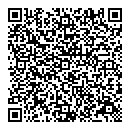 QR код "Silver fantasy"