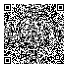 QR код "Сатурн"