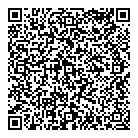 QR код "Сатурн"