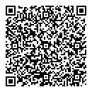 QR код "Сатурн"