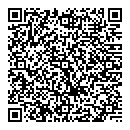QR код "Сатурн"
