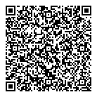 QR код "Сатурн"