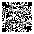 QR код "Сатурн"