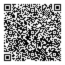 QR код "Сатурн"
