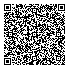 QR код "Дельфин"