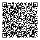 QR код "Дамаск"