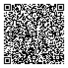 QR код "Domino"