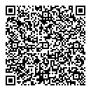 QR код "Глобус"