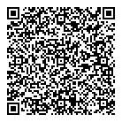QR код "D-style"
