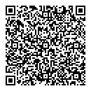 QR код "Silver Sting"