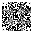 QR код "Мир игрушек"