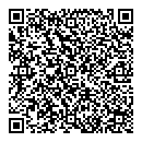 QR код "33 пингвина"