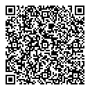 QR код "33 пингвина"