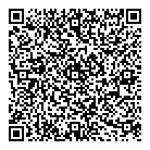 QR код "Кот в мешке"