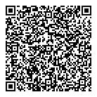 QR код "Trolls"