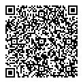 QR код "Мост"