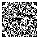 QR код "ДНС"