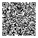QR код "Молния"