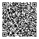 QR код "Молния"