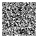 QR код "Professional"