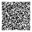 QR код "Глобус"