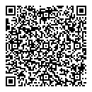 QR код "Бис"
