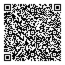 QR код "Элегия"