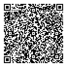 QR код "Пегас 37"